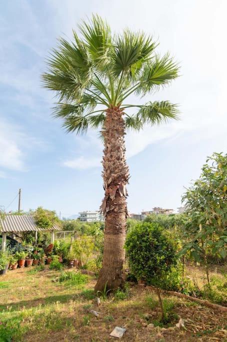 Dream House Appartement Preveza Buitenkant foto