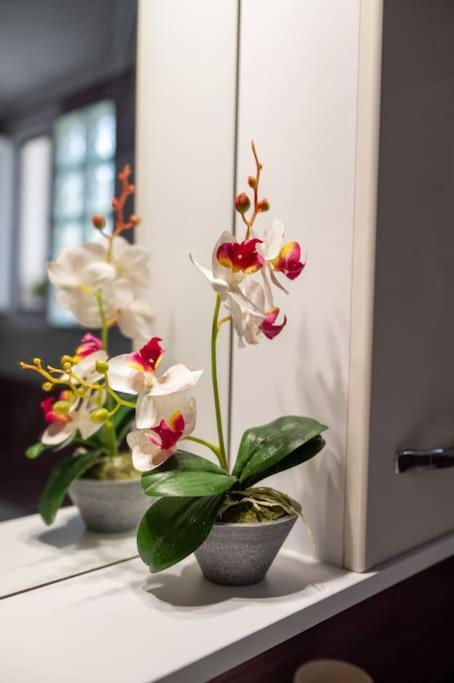 Dream House Appartement Preveza Buitenkant foto